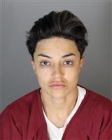 ROSAVINIA MAYRA NIEVES Mugshot / Oakland County MI Arrests / Oakland County Michigan Arrests