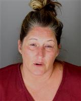 DANA MARIE LAWRENCE Mugshot / Oakland County MI Arrests / Oakland County Michigan Arrests