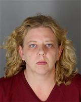 ERIKA DAWN NIELSON Mugshot / Oakland County MI Arrests / Oakland County Michigan Arrests