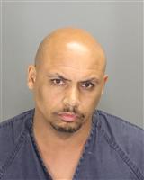 MARK  PATTERSON Photo / MARK  PATTERSON Images