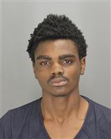 DEIONTE ERIC TELLIS Photo / DEIONTE ERIC TELLIS Images