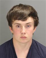 JACK ALEXANDER MACDONALD Photo / JACK ALEXANDER MACDONALD Images