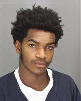 KYLE NICHOLAS GRIER Photo / KYLE NICHOLAS GRIER Images