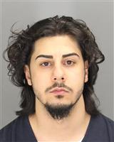 NASEEM  KASSAB Mugshot / Oakland County MI Arrests / Oakland County Michigan Arrests