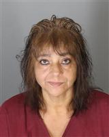 MARIA ELENA FLORES Mugshot / Oakland County MI Arrests / Oakland County Michigan Arrests
