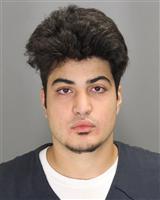 PATROS L CHIRCO Mugshot / Oakland County MI Arrests / Oakland County Michigan Arrests