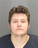 DYLAN RAINE RIDENOUR Mugshot / Oakland County MI Arrests / Oakland County Michigan Arrests