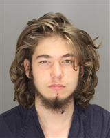 SPENCER ANDREW PELLEGRINO Mugshot / Oakland County MI Arrests / Oakland County Michigan Arrests