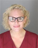 AMANDA JO AMESSE Mugshot / Oakland County MI Arrests / Oakland County Michigan Arrests