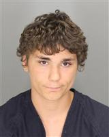 CHAZ LOWELL BRISTOL Mugshot / Oakland County MI Arrests / Oakland County Michigan Arrests