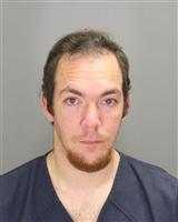 TIMOTHY JOSHUA FERRIN Mugshot / Oakland County MI Arrests / Oakland County Michigan Arrests