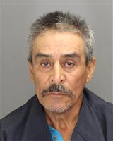 FRANCISCO JAVIER GONZALES Photo / FRANCISCO JAVIER GONZALES Images