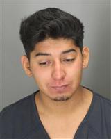 JONATHAN  GALARZA Photo / JONATHAN  GALARZA Images