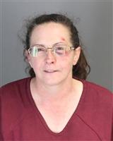 AMY MARIE REYNOLDS Mugshot / Oakland County MI Arrests / Oakland County Michigan Arrests
