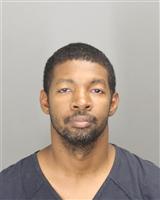 ADAM ALEXANDER RAJU Mugshot / Oakland County MI Arrests / Oakland County Michigan Arrests