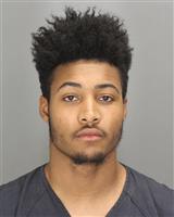 JORDAN CHRISTOPHERMICHAEL GAMAGE Mugshot / Oakland County MI Arrests / Oakland County Michigan Arrests