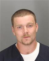 DANIEL VINCENT BORG Mugshot / Oakland County MI Arrests / Oakland County Michigan Arrests