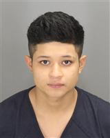 JESETH ISAI RAMIREZ Mugshot / Oakland County MI Arrests / Oakland County Michigan Arrests