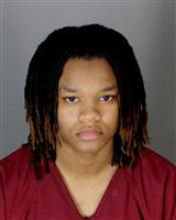 DHALIAH JANEEDENISE HOLLIDAYHAWK Photo / DHALIAH JANEEDENISE HOLLIDAYHAWK Images