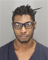 SHAQUILLE RASHAUD ELAM Photo / SHAQUILLE RASHAUD ELAM Images