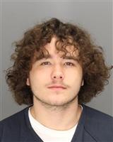 DYLAN JOHN MARTIN Mugshot / Oakland County MI Arrests / Oakland County Michigan Arrests