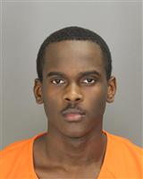 STEVEN DOINELLE DAVIS Photo / STEVEN DOINELLE DAVIS Images