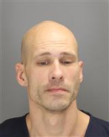 ADAM ANTHONY LITWIN Mugshot / Oakland County MI Arrests / Oakland County Michigan Arrests