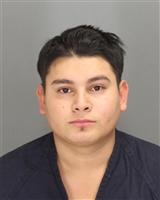 JUAN JOSE MERCADOGARCIA Photo / JUAN JOSE MERCADOGARCIA Images