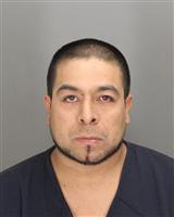 SERGIO A LARA Mugshot / Oakland County MI Arrests / Oakland County Michigan Arrests