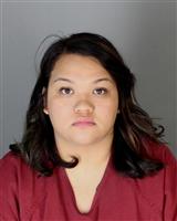 LE HONG NGUYEN Mugshot / Oakland County MI Arrests / Oakland County Michigan Arrests