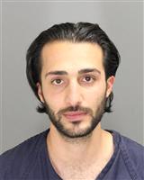 DAVED  SULAMAAN Mugshot / Oakland County MI Arrests / Oakland County Michigan Arrests