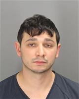 ALEXANDER JAMSHEED RAMIN Mugshot / Oakland County MI Arrests / Oakland County Michigan Arrests