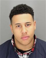 JOSEPH  SOLOMAN Mugshot / Oakland County MI Arrests / Oakland County Michigan Arrests