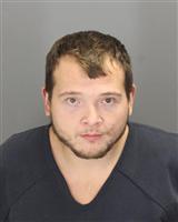 JOSEPH MICHAEL LUCIA Mugshot / Oakland County MI Arrests / Oakland County Michigan Arrests