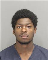 RASHIEN DEVON CHANCELLOR Photo / RASHIEN DEVON CHANCELLOR Images