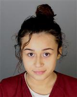 YAISLYN NAYENDY VELASQUEZ Mugshot / Oakland County MI Arrests / Oakland County Michigan Arrests