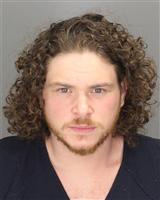 AARON JOSEPH ALCINI Photo / AARON JOSEPH ALCINI Images