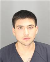 ANTHONY ROBERT RAMIREZ Mugshot / Oakland County MI Arrests / Oakland County Michigan Arrests