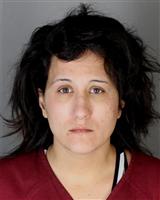 KRISTINA MARIE OCHOA Mugshot / Oakland County MI Arrests / Oakland County Michigan Arrests