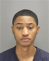 THOMAS HAYWARD BLANNON Photo / THOMAS HAYWARD BLANNON Images