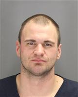 DAVID RYAN ELLIS Mugshot / Oakland County MI Arrests / Oakland County Michigan Arrests