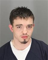 JARETT JAMES SHINAULT Mugshot / Oakland County MI Arrests / Oakland County Michigan Arrests