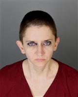 MISTY LYNN ROBERTS Mugshot / Oakland County MI Arrests / Oakland County Michigan Arrests