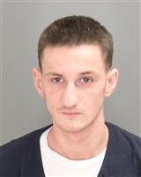 ANTON  SUFAJ Mugshot / Oakland County MI Arrests / Oakland County Michigan Arrests