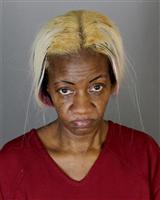 CONSTANCE MARIE STOKES Mugshot / Oakland County MI Arrests / Oakland County Michigan Arrests