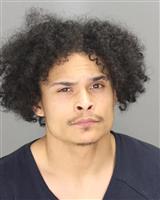 JASHION JAMES ELLINGTON Mugshot / Oakland County MI Arrests / Oakland County Michigan Arrests