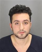 NIKOLLA  LULGJURAJ Mugshot / Oakland County MI Arrests / Oakland County Michigan Arrests