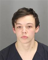 BRENDON RICHARD QUINN Mugshot / Oakland County MI Arrests / Oakland County Michigan Arrests