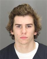 ANTHONY ALBERT STERLINI Photo / ANTHONY ALBERT STERLINI Images