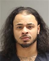 CHRISTOPHER MICHAEL JOHNSON Mugshot / Oakland County MI Arrests / Oakland County Michigan Arrests